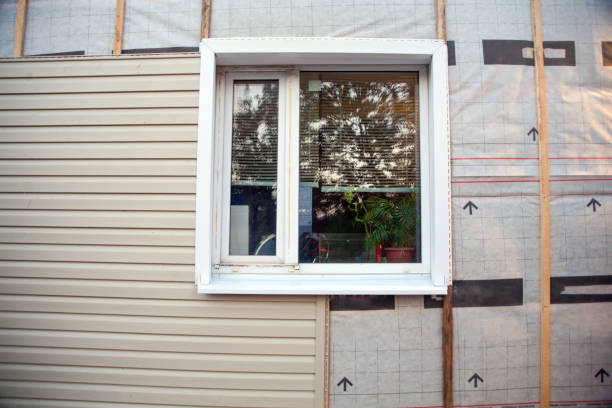 Best Demolition Debris Removal  in Bridgman, MI