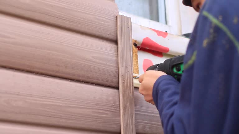 Best Construction Debris Removal  in Bridgman, MI